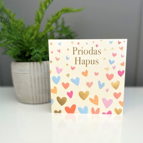 Priodas - Wedding 