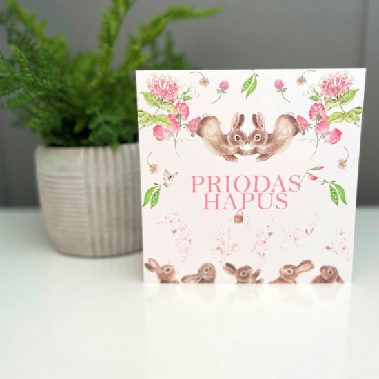 Priodas - Wedding 