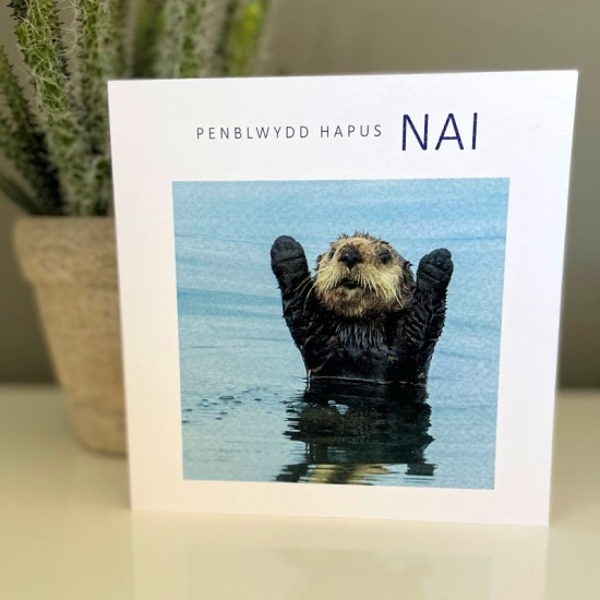 Cardyn Penblwydd Nai - Nephew Birthday Card 