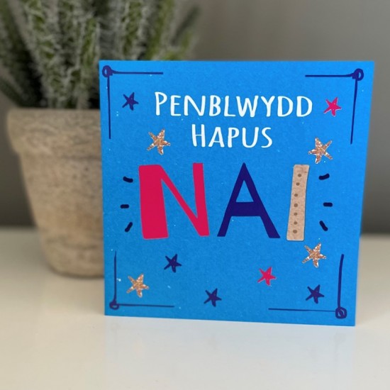 Cardyn Penblwydd Nai - Nephew Birthday Card 