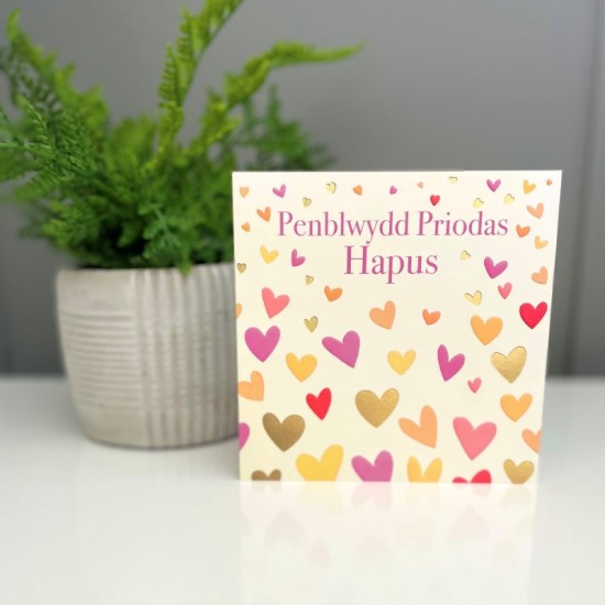 Penblwydd  Priodas ~ Open Anniversary 