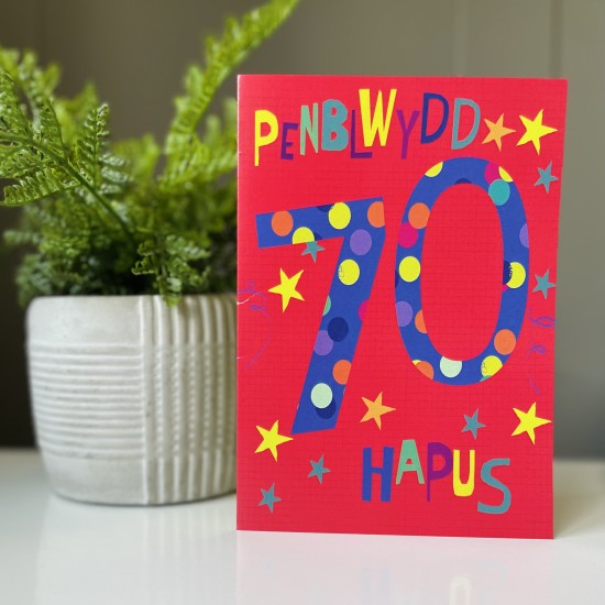 Cardyn Penblwydd 70 Oed - 70 Year Old Birthday Card