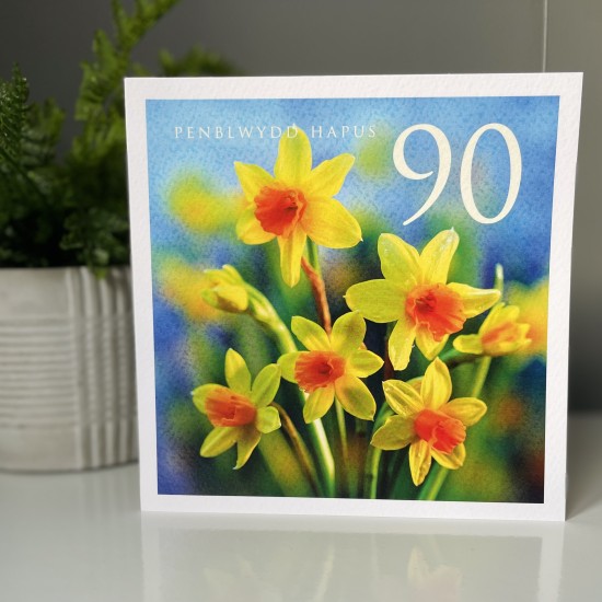 Cardyn Penblwydd 90 Oed - 90 Year Old Birthday Card