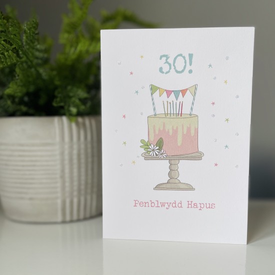 Cardyn Penblwydd 30 ~ 30 Year Old Birthday Card