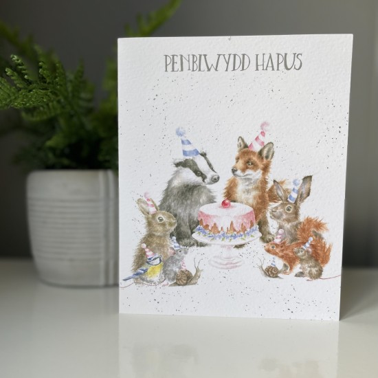 Cardyn Penblwydd - Birthday Card 