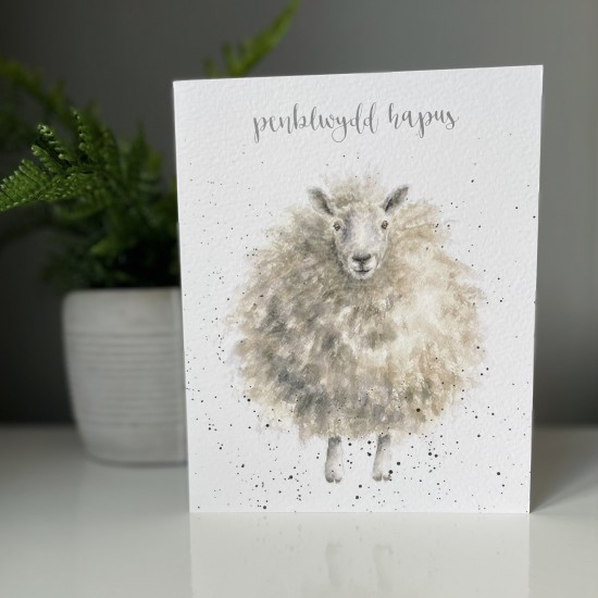 Cardyn Penblwydd - Birthday Card  