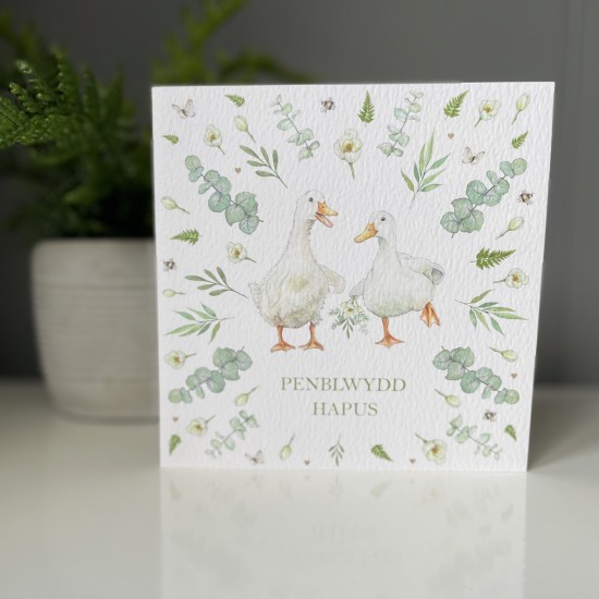 Cardyn Penblwydd - Birthday Card  