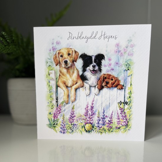 Cardyn Penblwydd - Birthday Card 