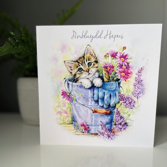 Cardyn Penblwydd - Birthday Card 