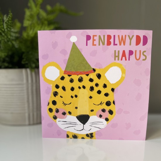 Cardyn Penblwydd - Birthday Card 