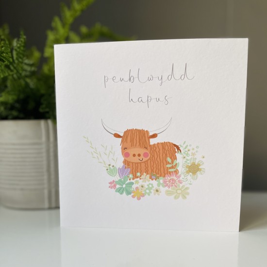 Cardyn Penblwydd - Birthday Card 