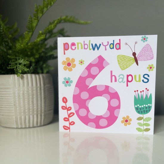 Cardyn Penblwydd 6 Oed - 6 Year Old Birthday Card