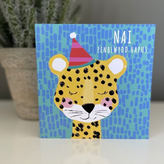 Cardyn Penblwydd Nai - Nephew Birthday Card 